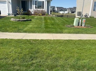 Tory W.'s grass cutting service result