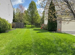 James O.'s lawn care services service result