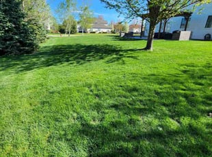 Josiah W.'s lawn maintenance service result