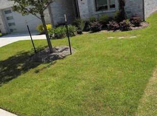 David C.'s lawn care service result