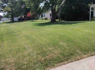 Jim Y.'s lawn care services service result