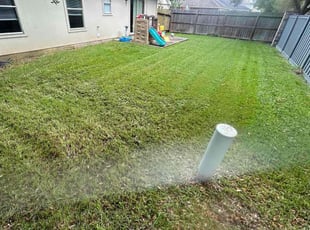 Jerrold G.'s turf care service result