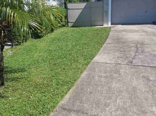 Katina B.'s lawn maintenance service result