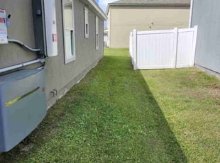 Mike G.'s grass cutting service result