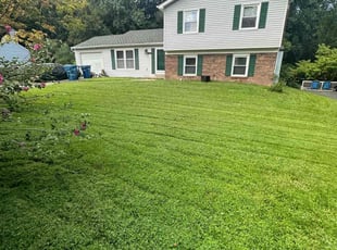 Mark L.'s turf care service result