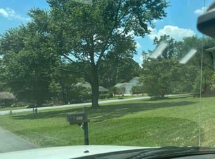 Alex K.'s turf care service result