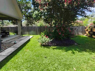 Fei Y.'s turf care service result