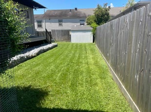 Wanda J.'s turf care service result