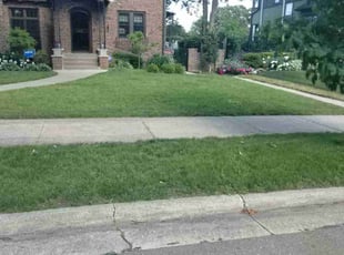 Diane b.'s lawn maintenance service result