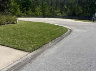 Enrique C.'s lawn service service result