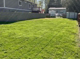 Mike B.'s lawn service service result