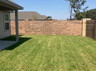 Fernando G.'s grass cutting service result