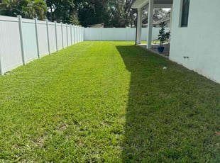 Diego S.'s lawn care service result