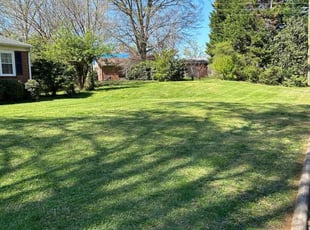 Nichole J.'s turf maintenance service result