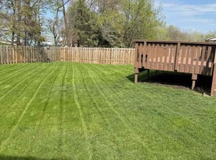 Lana W.'s grass maintenance service result