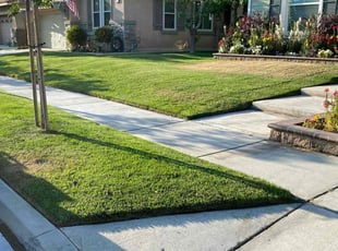 Yipeng W.'s yard maintenance service result