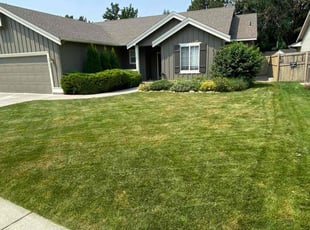 Joe Y.'s Cleanups service result