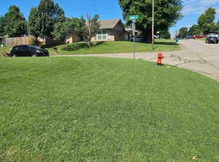 Skylar F.'s lawn care service result