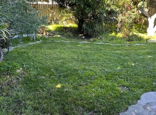 Sean C.'s lawn maintenance service result
