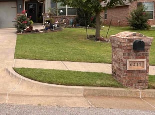 Jason H.'s grass cutting service result