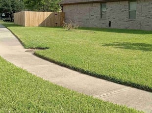 Sayeda B.'s grass cutting service result