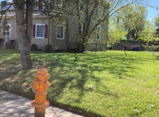 Traci B.'s turf care service result