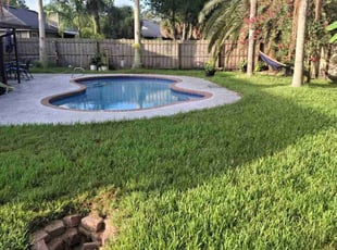 Cherry L.'s turf care service result