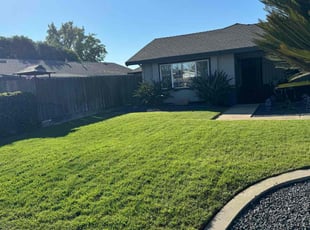Constance A.'s grass maintenance service result
