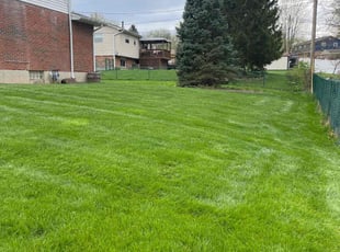 Richard G.'s yard service service result