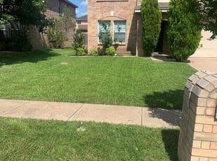 Michael P.'s lawn service service result