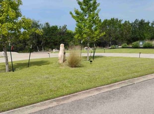 Martha M.'s turf care service result