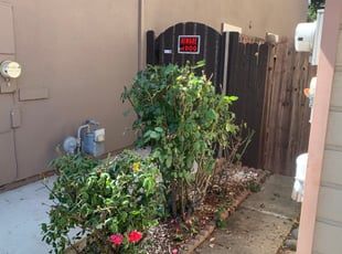 Kevin G.'s Bush Trimming service result