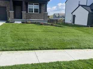 Stephanie M.'s grass maintenance service result
