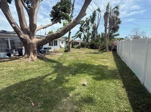 Lisa M.'s grass cutting service result