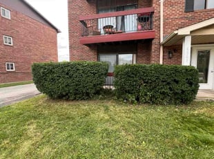 Wendy F.'s Bush Trimming service result