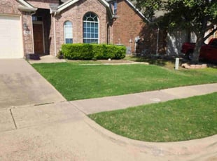 Gloria S.'s grass cutting service result