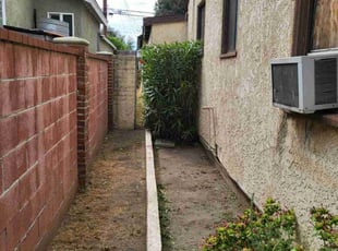 Laura S.'s Bush Trimming service result