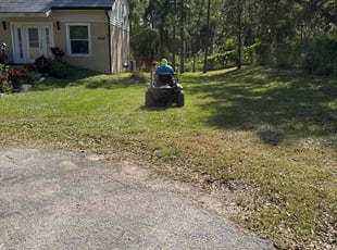 Katrisa L.'s turf care service result