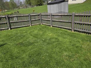 Anna H.'s yard maintenance service result