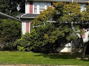 Christine K.'s lawn maintenance service result