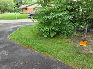 Roger H.'s lawn care services service result