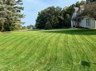 Agustin R.'s turf care service result