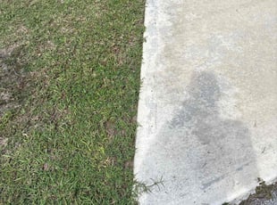 James L.'s lawn service service result