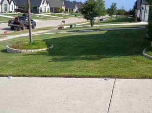 Sparkle W.'s grass maintenance service result