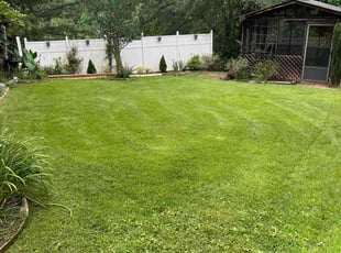 Hung K.'s lawn maintenance service result