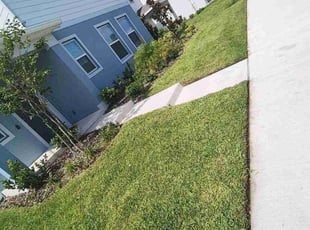 Frank H.'s lawn maintenance service result