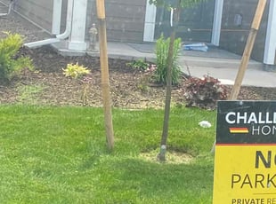Steve R.'s lawn care service result