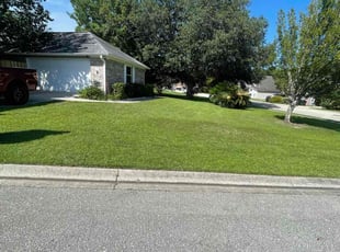 Amy S.'s lawn care service result