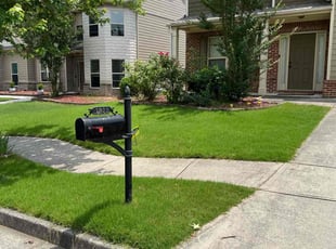 Barbara N.'s lawn care service result