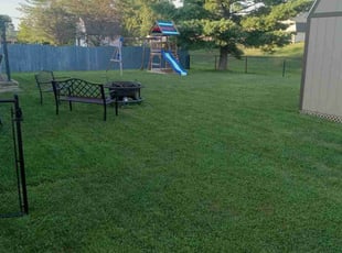 Anand E R.'s turf maintenance service result